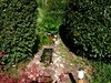 mini-Bachlauf 2 06-2007